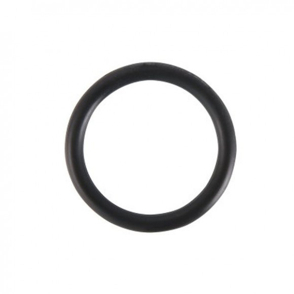 Уплотнительное кольцо 28 FPM (Viton) Уплотнительное кольцо 28 FPM (Viton)